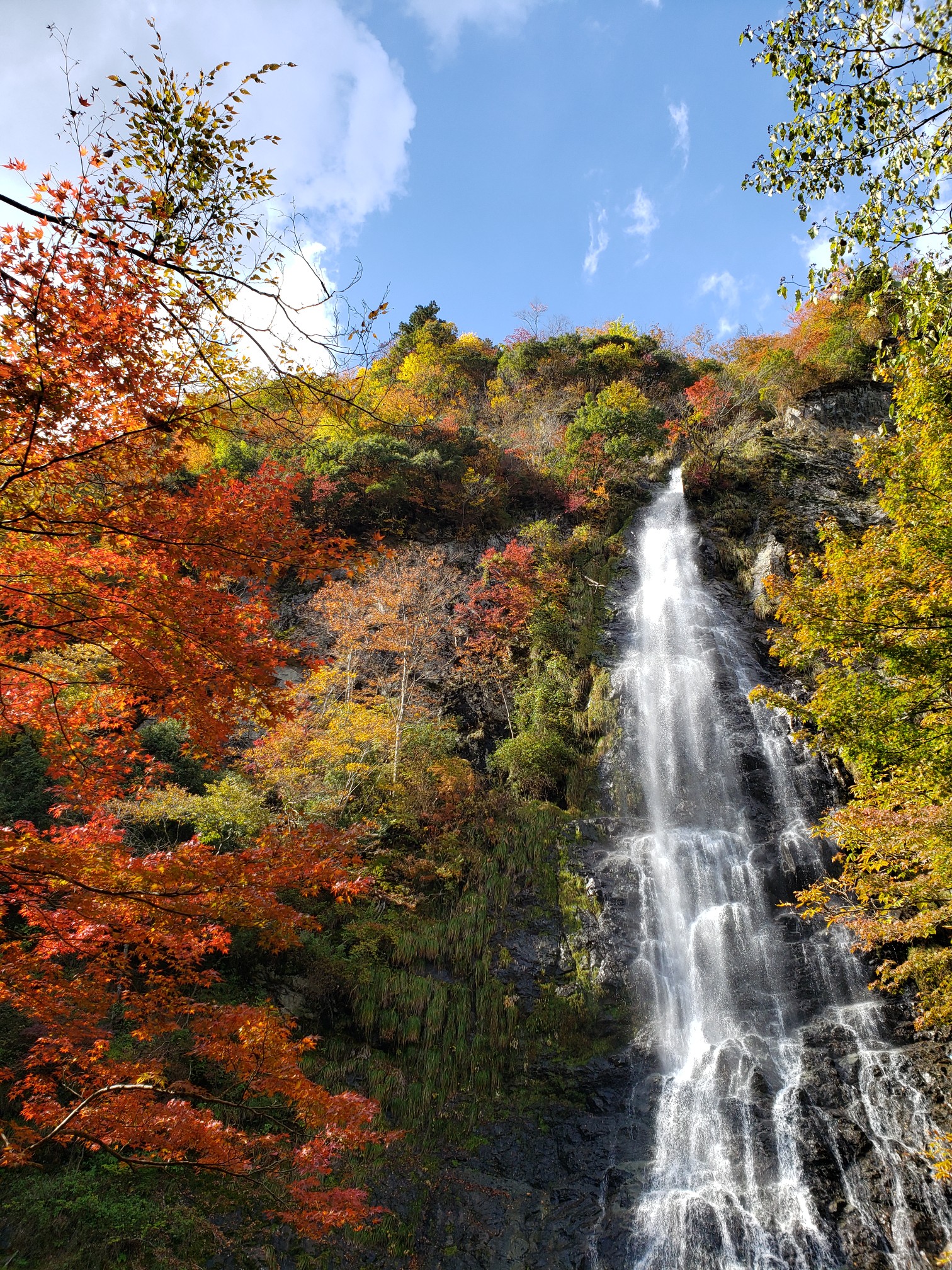 天滝 もみじ祭り Yama Gさんの赤谷山 兵庫県宍粟市 の活動データ Yamap ヤマップ