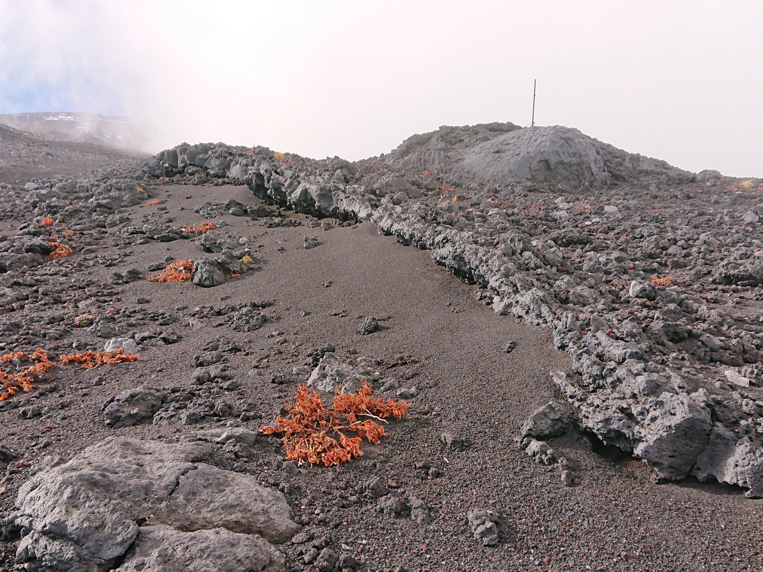 富士山 晩秋の東南麓 成就ヶ沢 不浄流し 方状節理 獅子岩 ワゴニア 鉄のワラジ 散策 10 24 ふじ爺さんの富士山の活動日記 Yamap ヤマップ