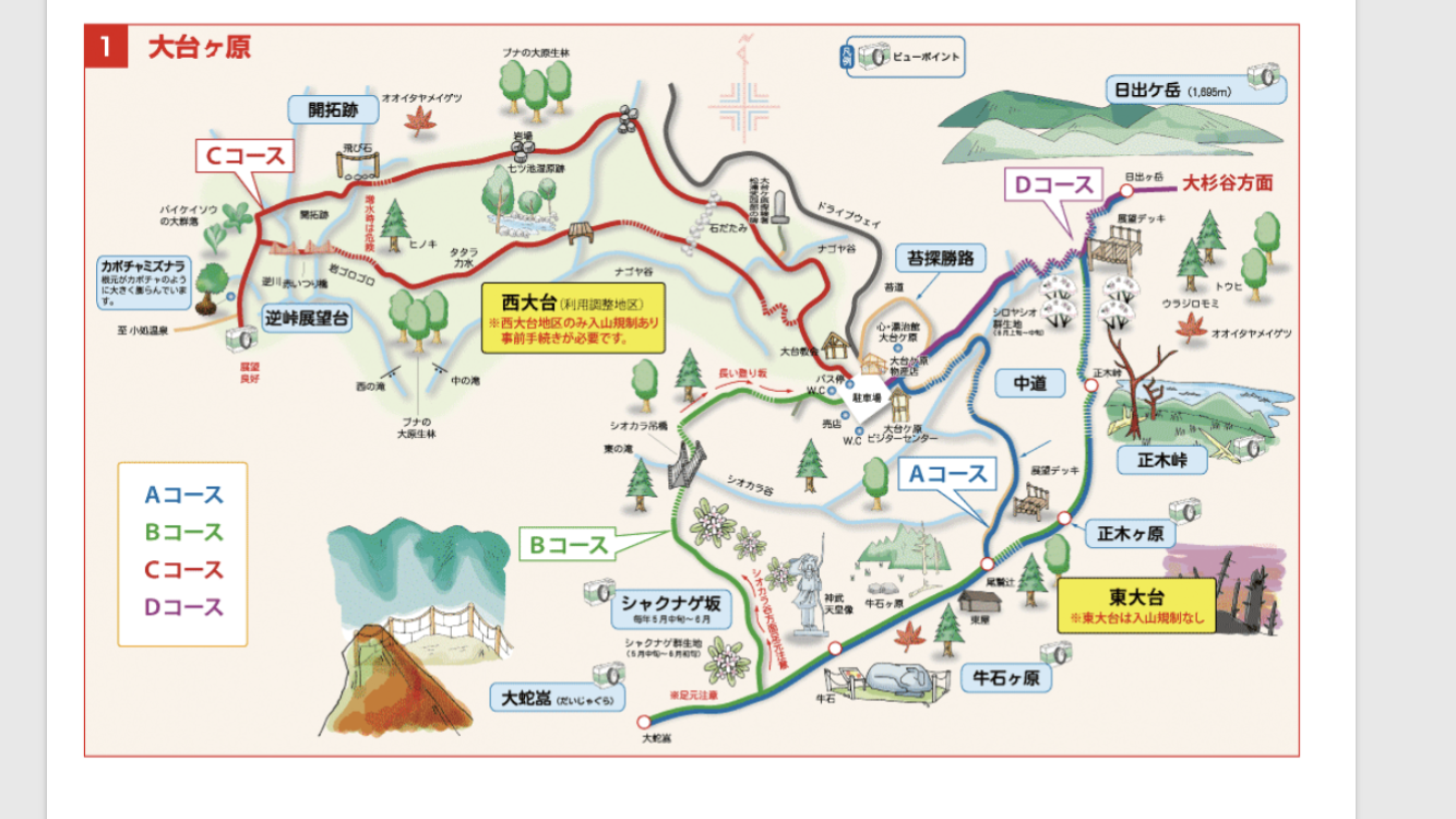 日本百名山 大台ケ原 東大台bコース 2018 08 11 ちゃーあらさんの大台ヶ原山 日出ヶ岳 大杉谷の活動日記 Yamap ヤマップ