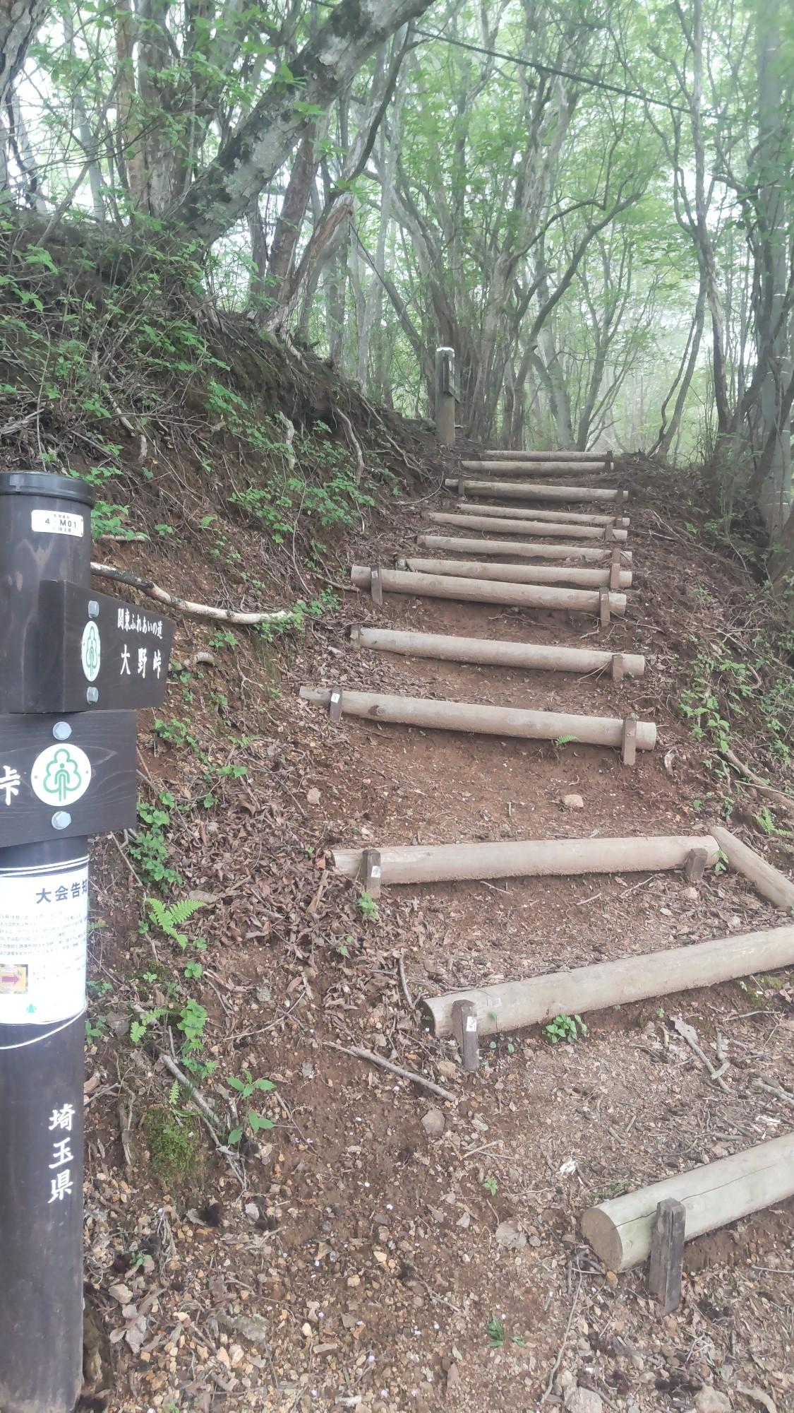 刈場坂峠（埼玉） | YAMAP / ヤマップ