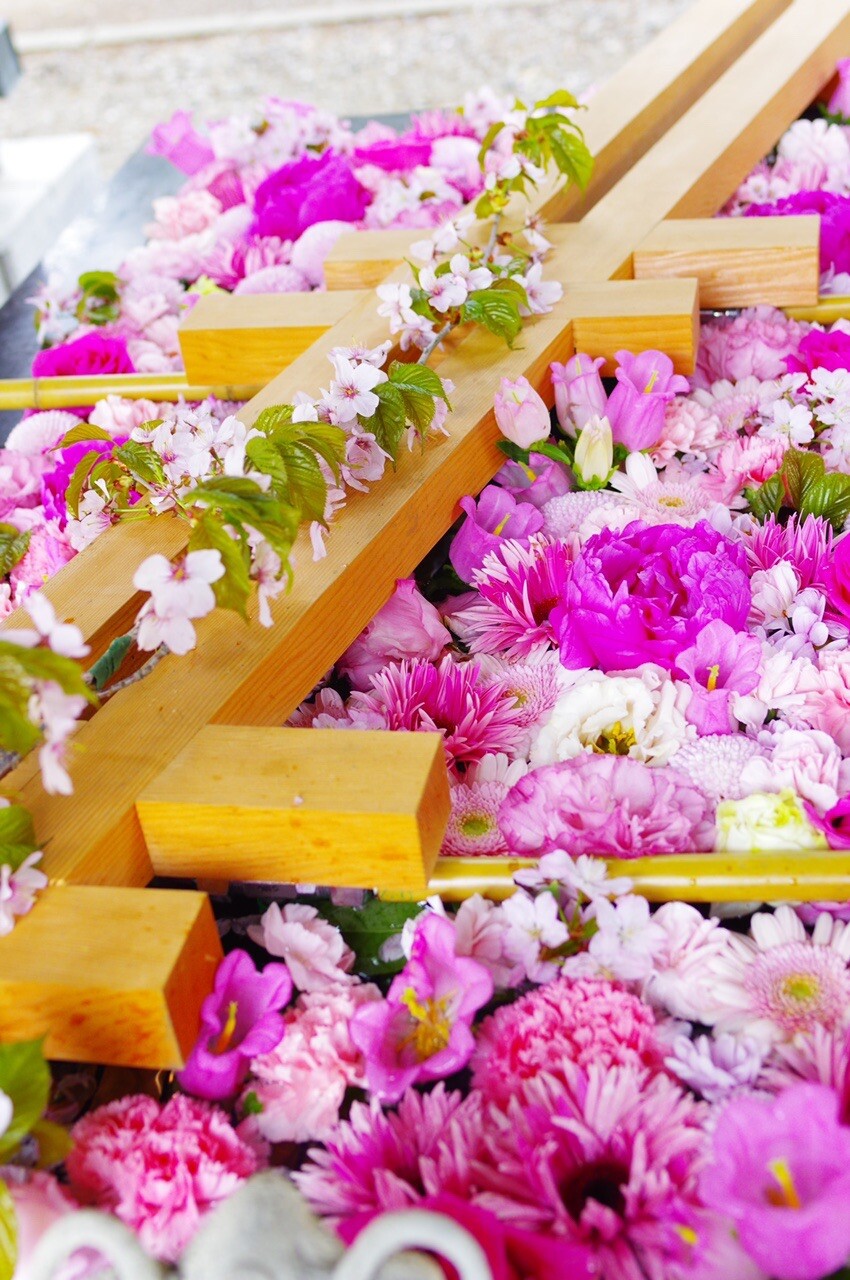 帯広神社 花手水 春を感じる 淡い色合い ちーあださんのモーメント Yamap ヤマップ
