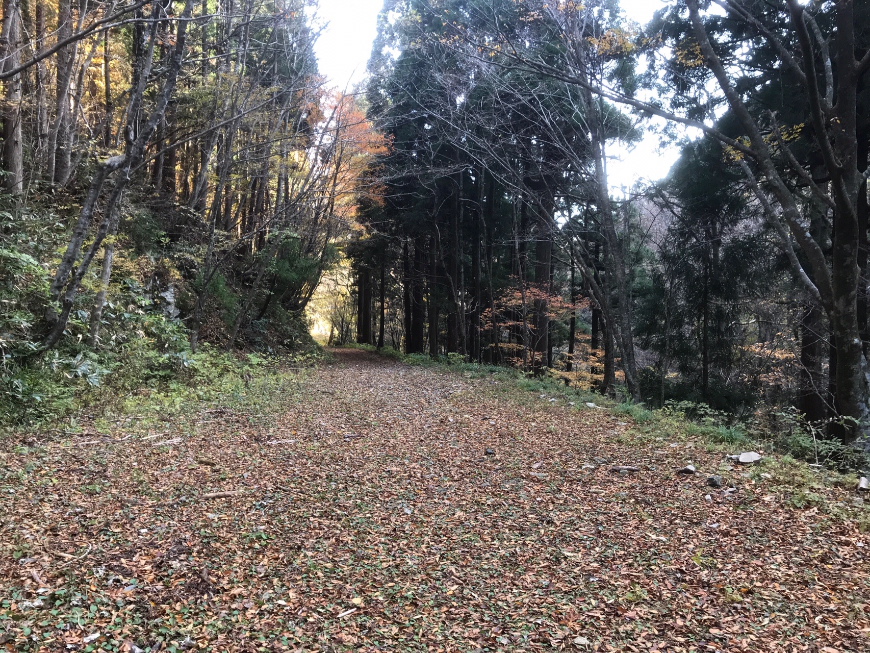 寂地峡の紅葉と寂地山登山 なかしげさんの吉和冠山 安芸冠山 広高山 寂地山の活動データ Yamap ヤマップ