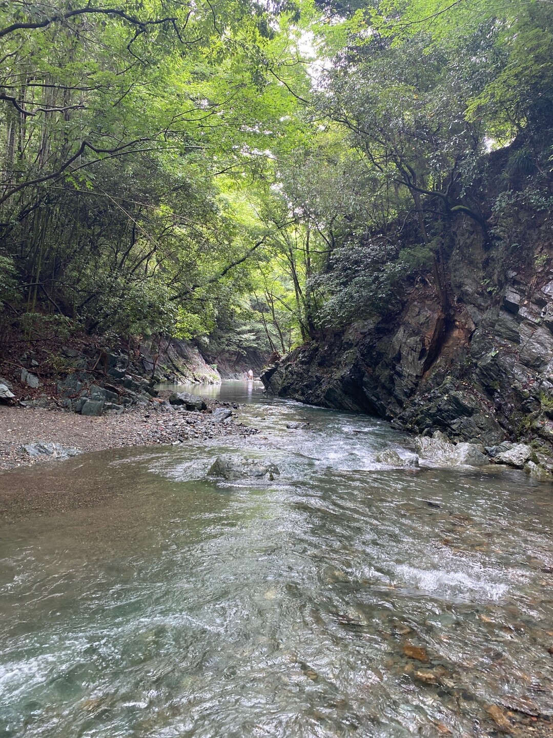 三波渓谷 07 19 シンバさんのランニングの活動データ Yamap ヤマップ