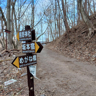 鼻曲山・氷妻山・留夫山 ここで中山道と合流。
