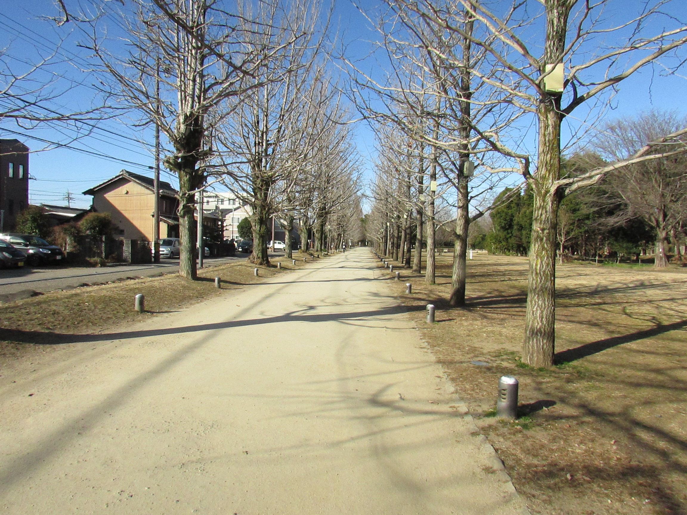 槍ヶ岳へ通ずる道 各務原アルプス 02 09 スネークさんの各務原アルプス 八木三山の活動日記 Yamap ヤマップ