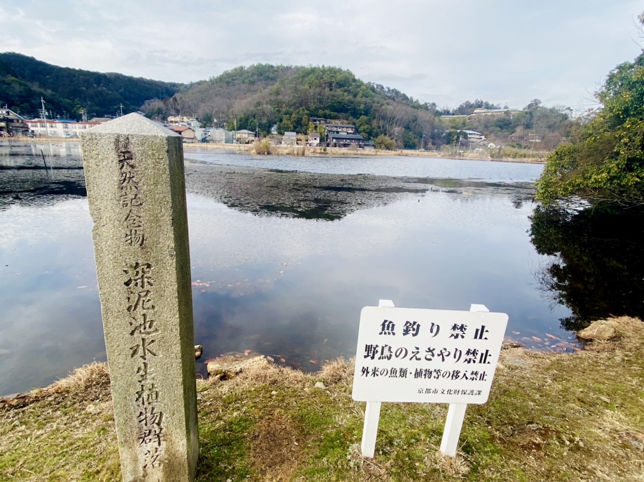 サクッとピークハント】東山〜西山⛰ 最怖心霊スポット深泥池の近く 