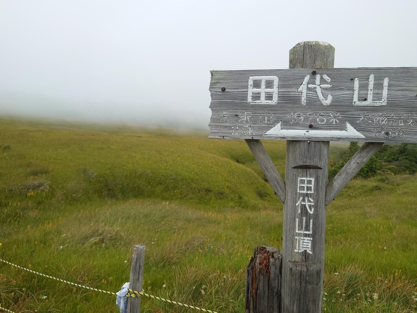 田代山・帝釈山 / ひでちゃんさんの田代山・帝釈山の活動データ YAMAP / ヤマップ