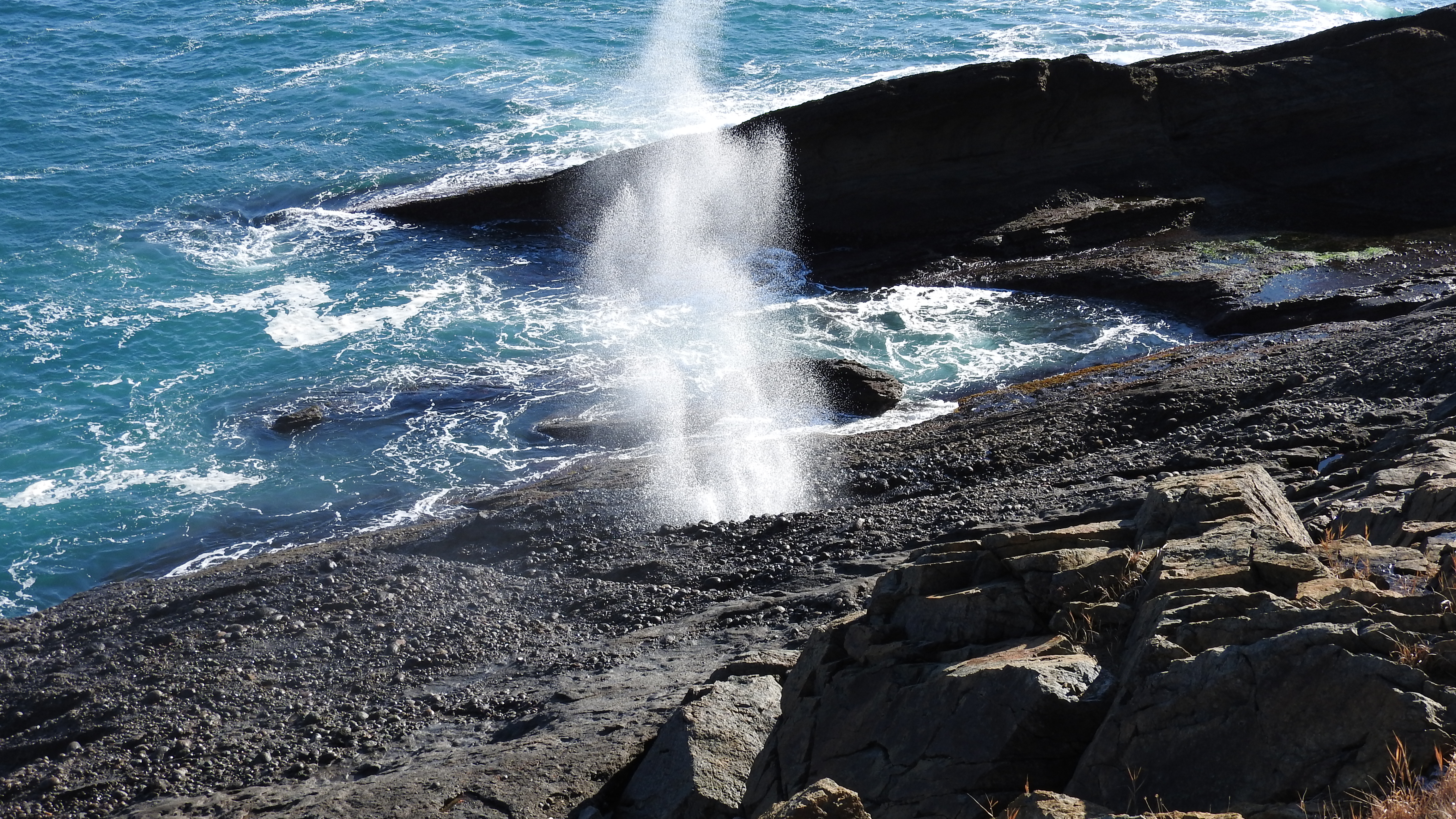 臼木山 浄土ヶ浜 Skappaleさんのみちのく潮風トレイル 宮古市北部 宮古市中部ルートの活動日記 Yamap ヤマップ