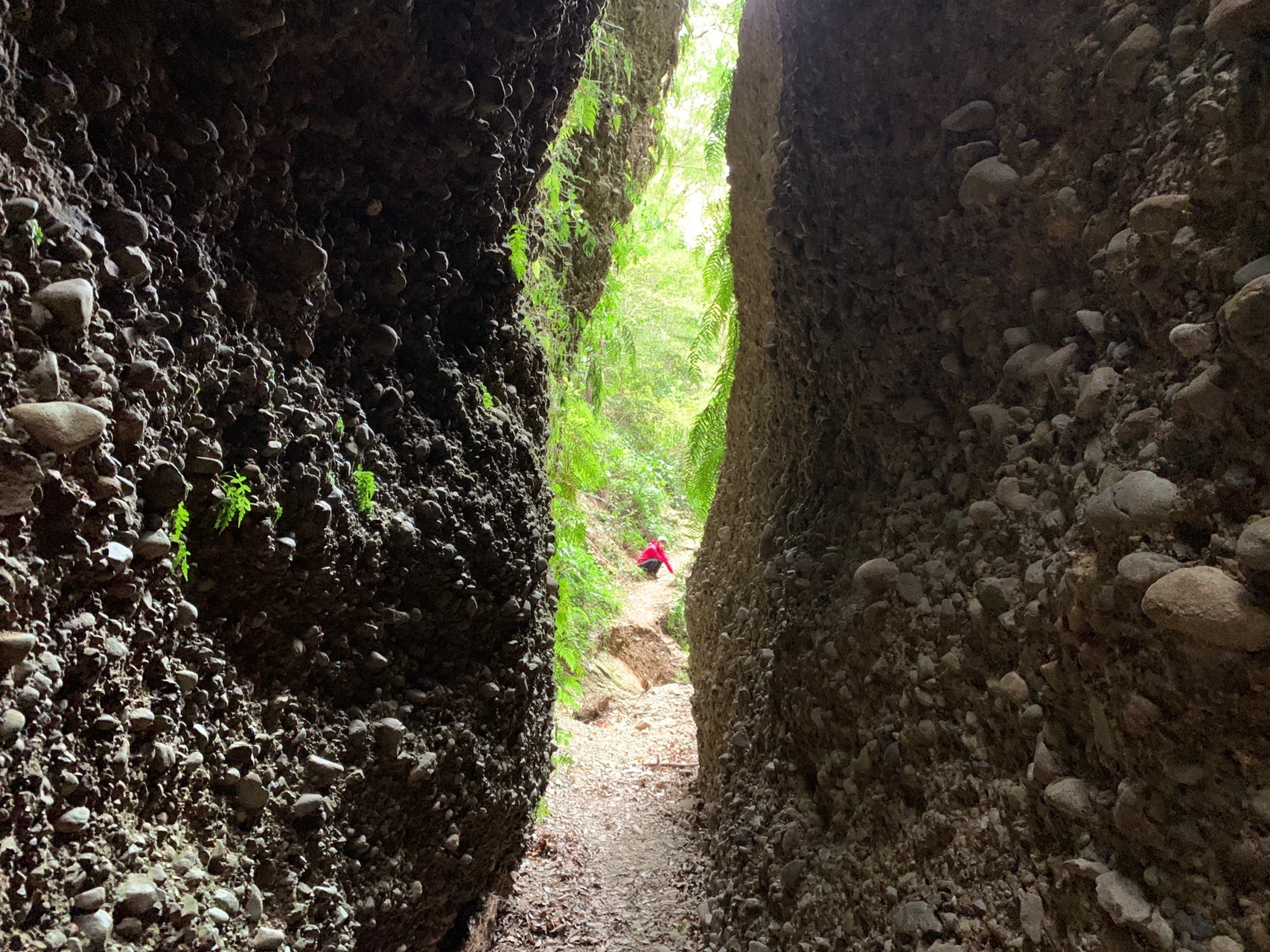 小笠山 12 19 チヅルさんの小笠山の活動データ Yamap ヤマップ