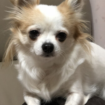 やまびこ(三等兵から卒業)🙇🏻‍♂️