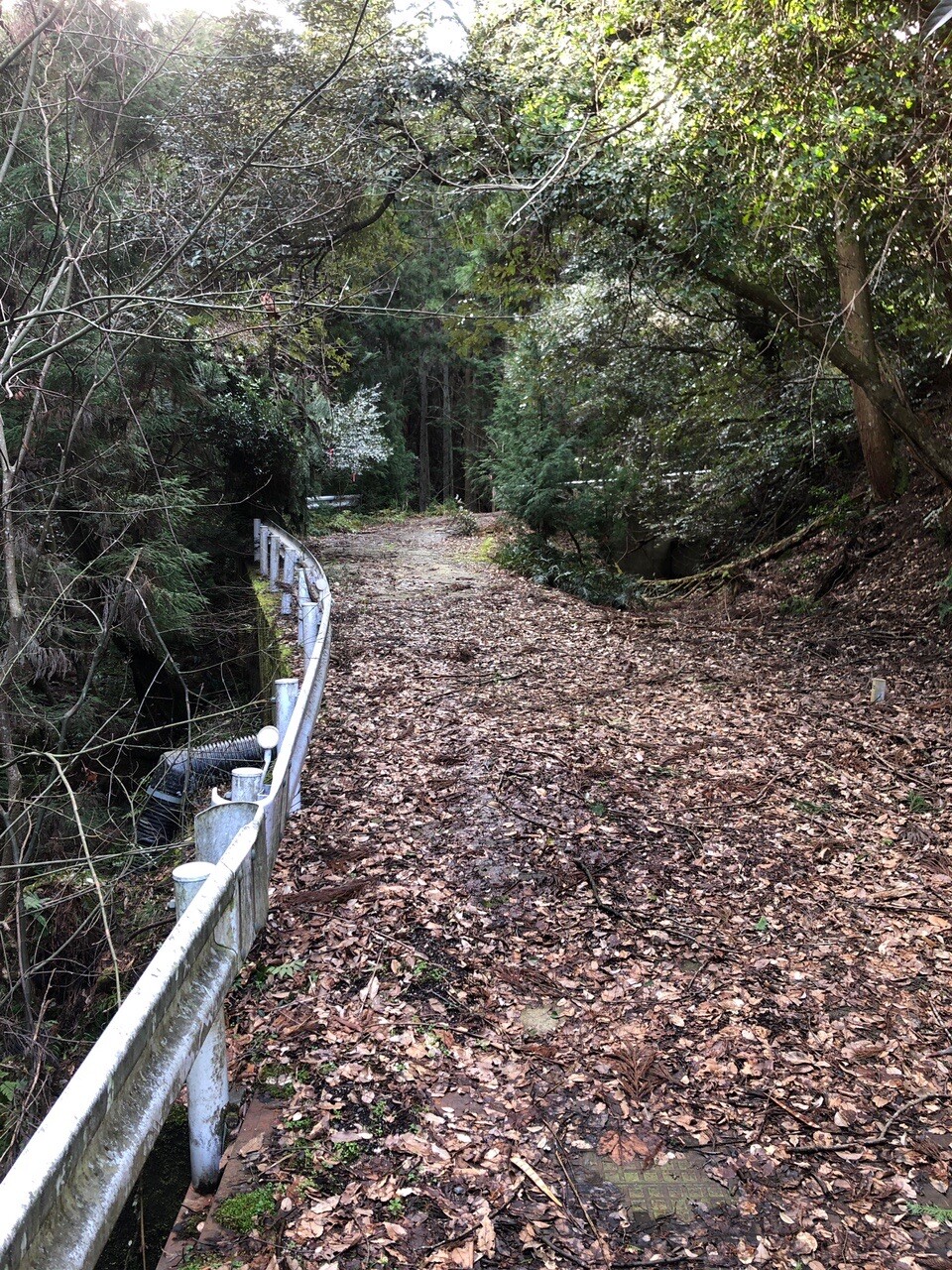 旅伏山・旅伏峰・鼻高山 国富中村古墳入り口 / 鼻高山・弥山・旅伏山の写真4枚目 YAMAP / ヤマップ