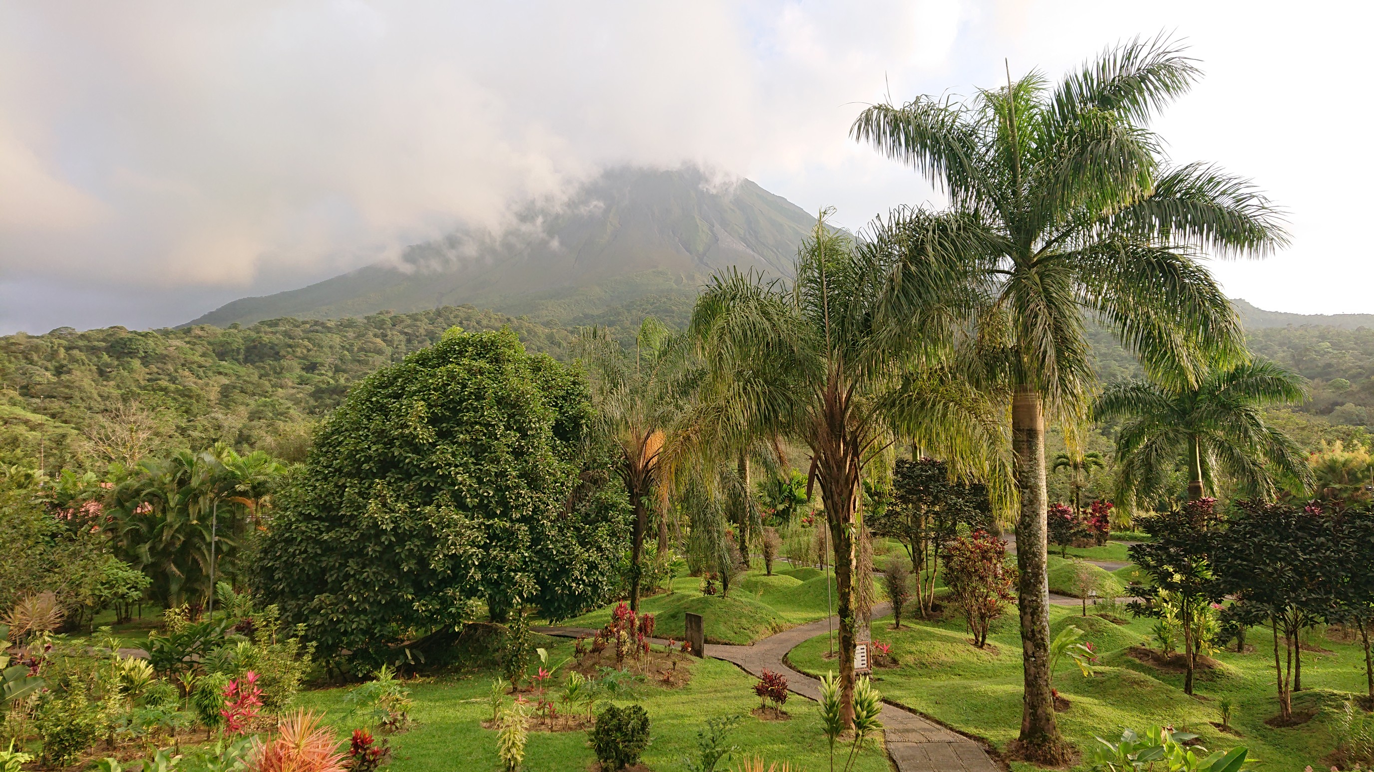 29 コスタリカ 自然と動物 ふれあいの旅 19 12 30 01 07 山ヤッホーさんのオリサバ山の活動日記 Yamap ヤマップ