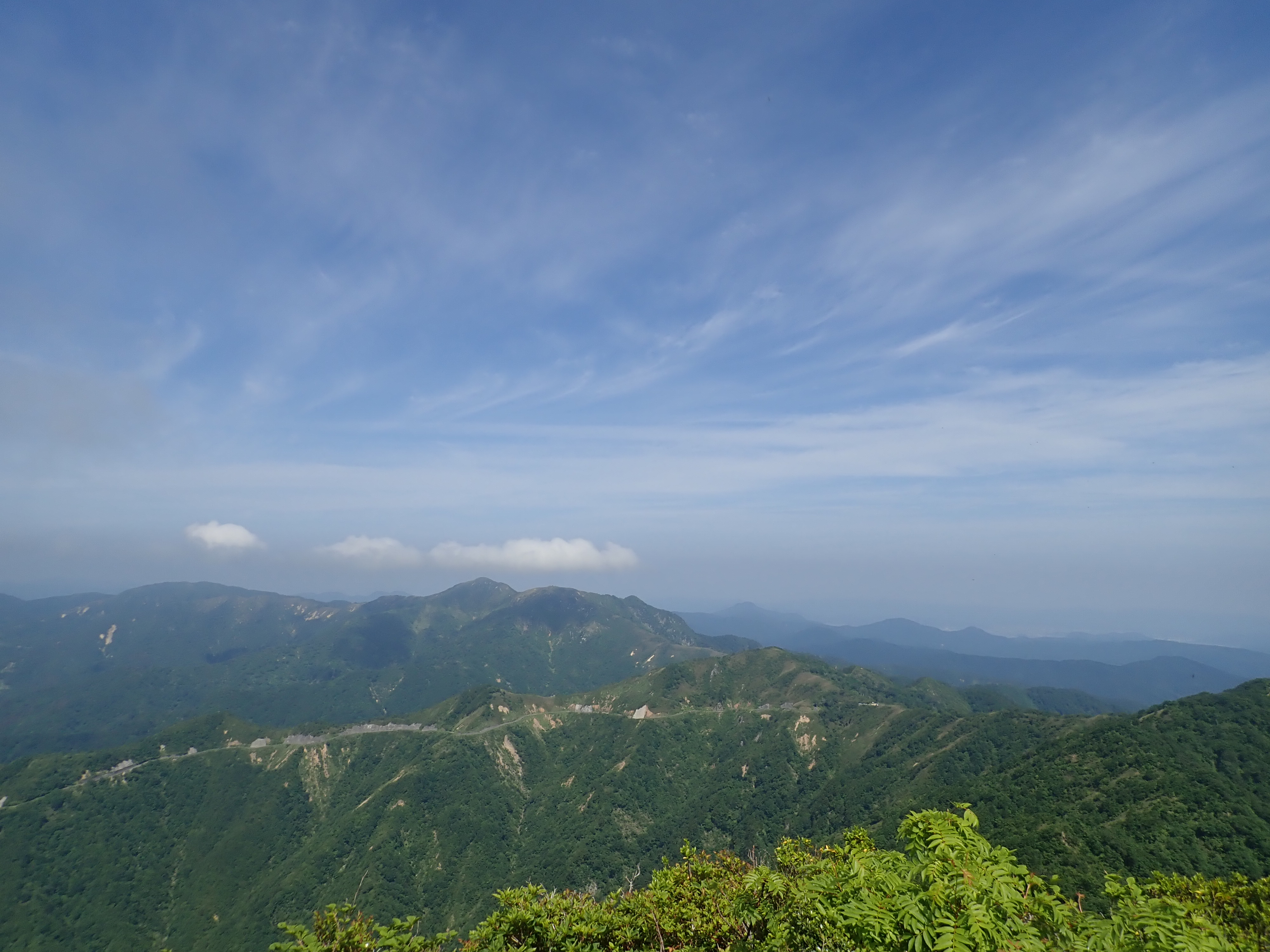 冠山(岐阜県・福井県)・金草岳20190604 / *KOUさんの冠山(岐阜県・福井県)・金草岳の活動データ YAMAP / ヤマップ