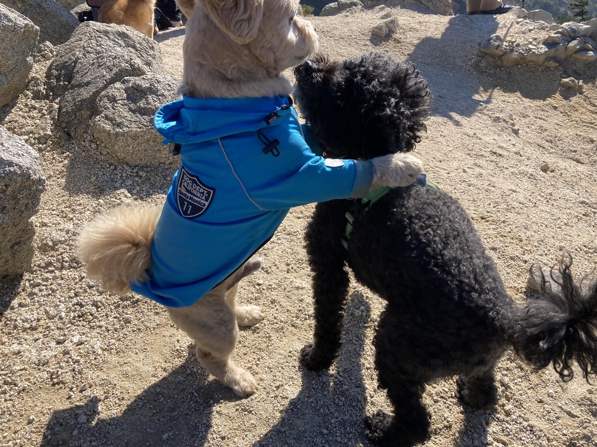 釈迦ヶ岳 二人はずーーーーーーーーーっと、プロレス‼️
相性良すぎ🤣