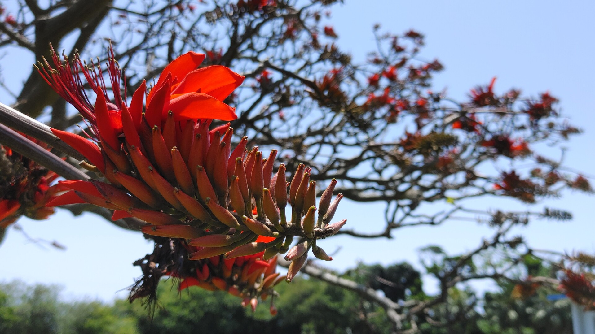 徳之島 小原海岸 Marqunさんの徳之島の活動日記 Yamap ヤマップ