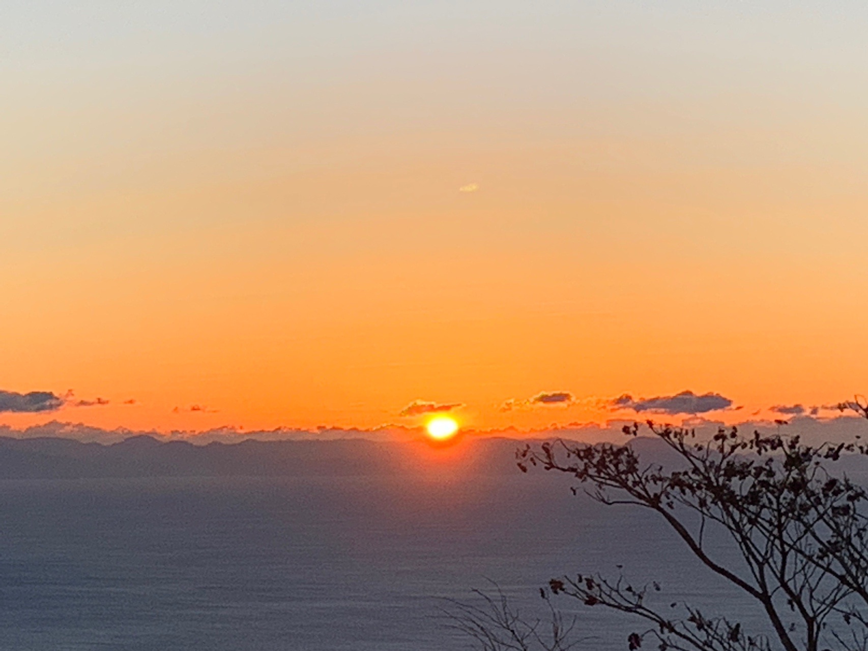 今年も ﾖｰ ﾟ口ﾟ ﾛｰ ﾟdﾟ ｼｰ ﾟ ﾟ ｸｰ ﾟeﾟ とかなさんの焼津アルプス 高草山 満観峰 花沢山 徳願寺山の活動日記 Yamap ヤマップ