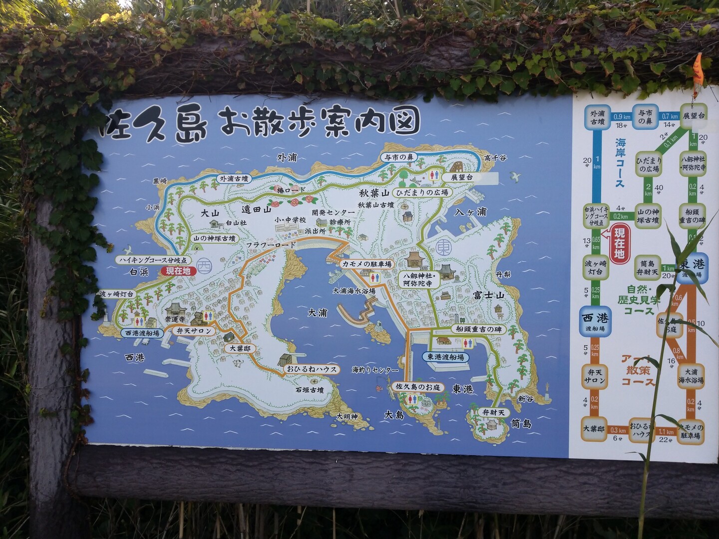 シーサイドウォーク 佐久島 佐久島の写真3枚目 佐久島ピクニックマップ Yamap ヤマップ