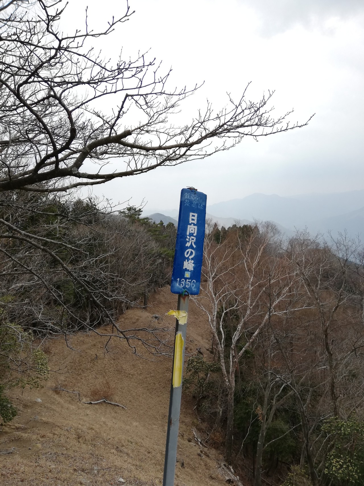 都県境界尾根縦走 埼玉百名山 飯能百名山 サトラッシュさんの棒ノ折山 棒ノ嶺 の活動データ Yamap ヤマップ