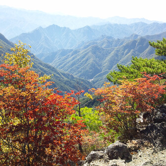 ジュッピー🍊☃️