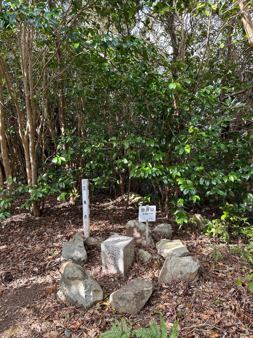 由良山 / soratukiさんの由良半島・由良山の活動データ YAMAP / ヤマップ