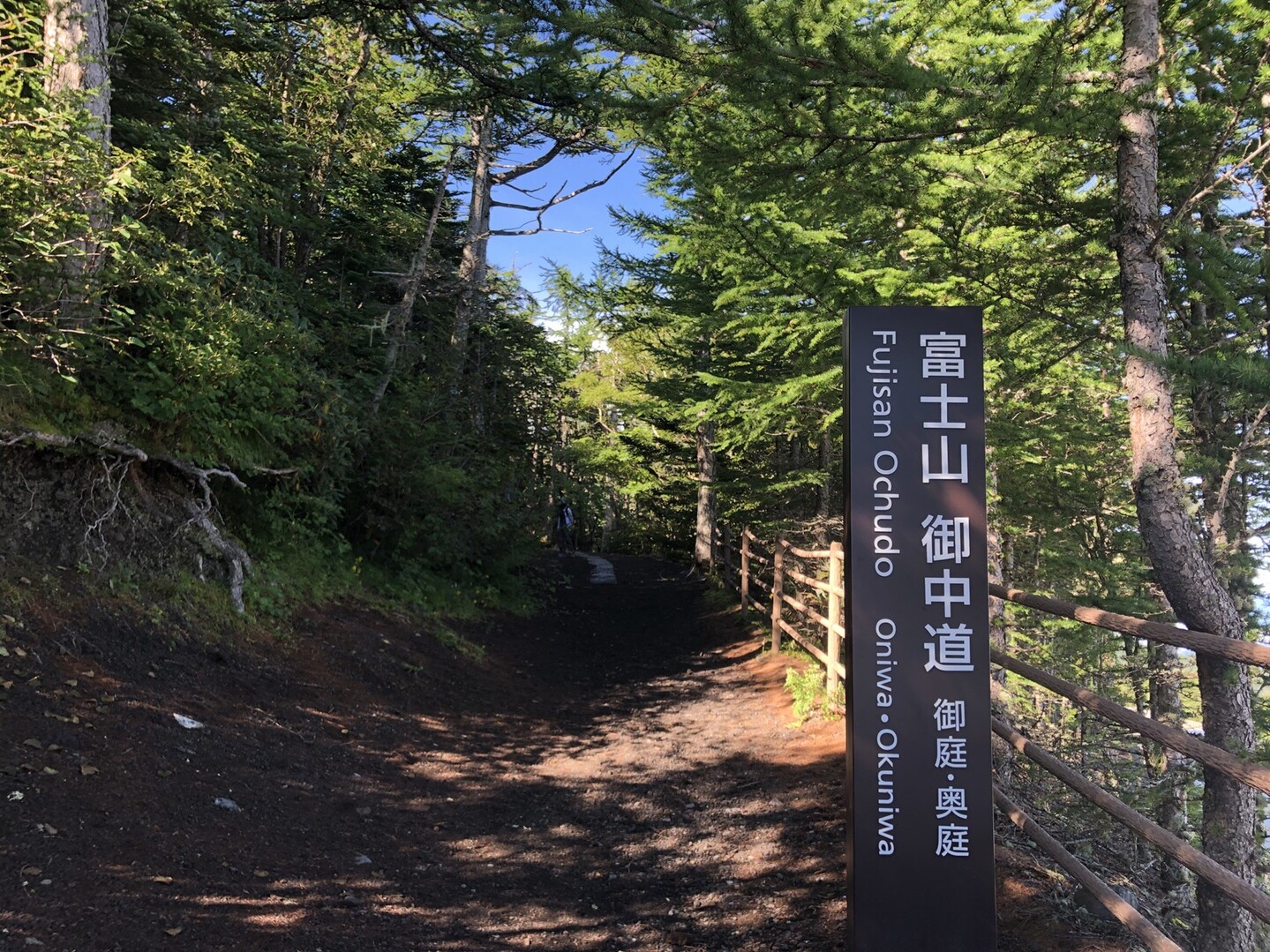 富士山 大沢崩れ右岸 19 09 05 06 アラタさんの富士山の活動日記 Yamap ヤマップ