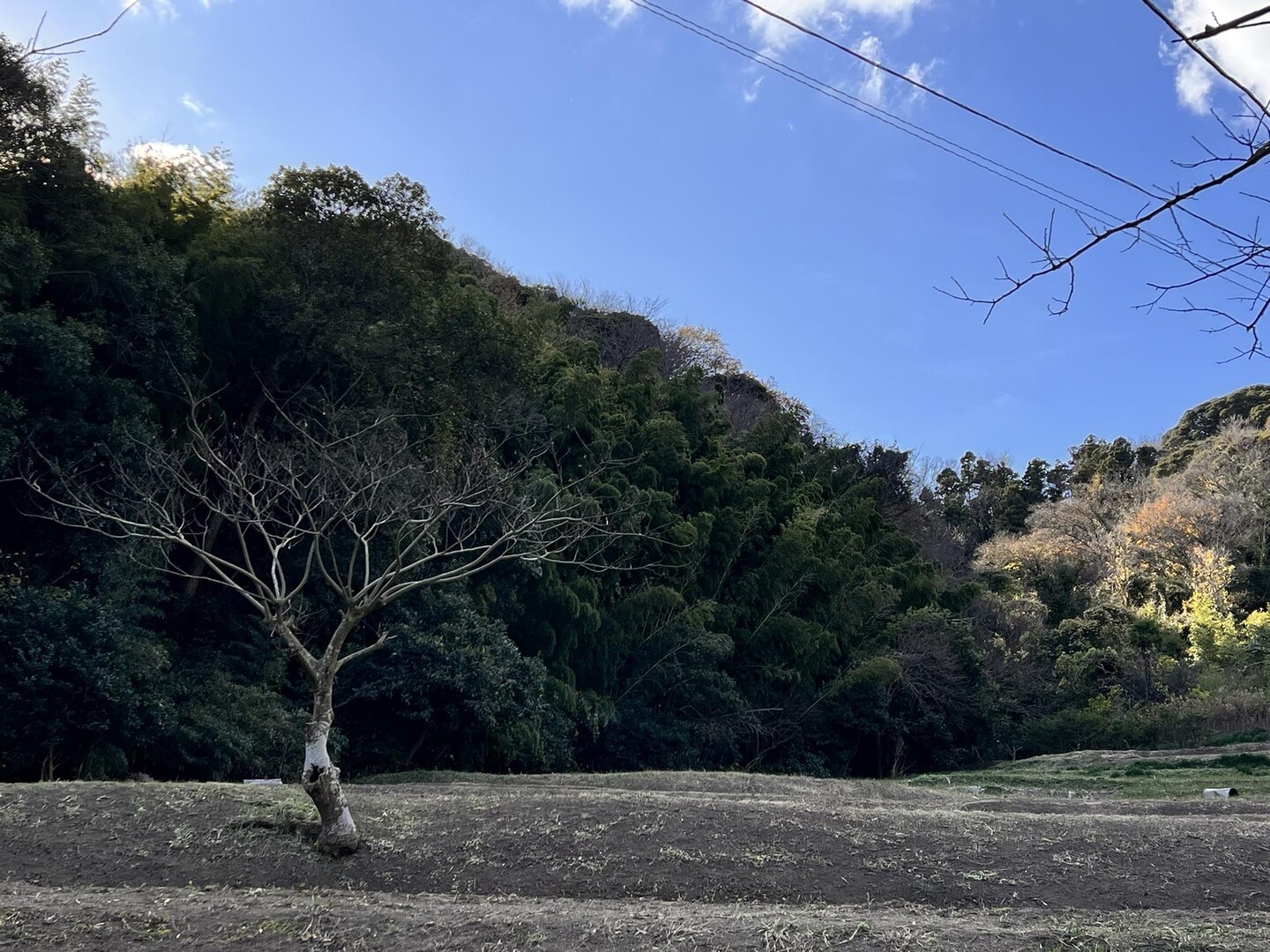 久村の里山（横須賀）20231223 / T.Kさんの横須賀市の活動データ YAMAP / ヤマップ