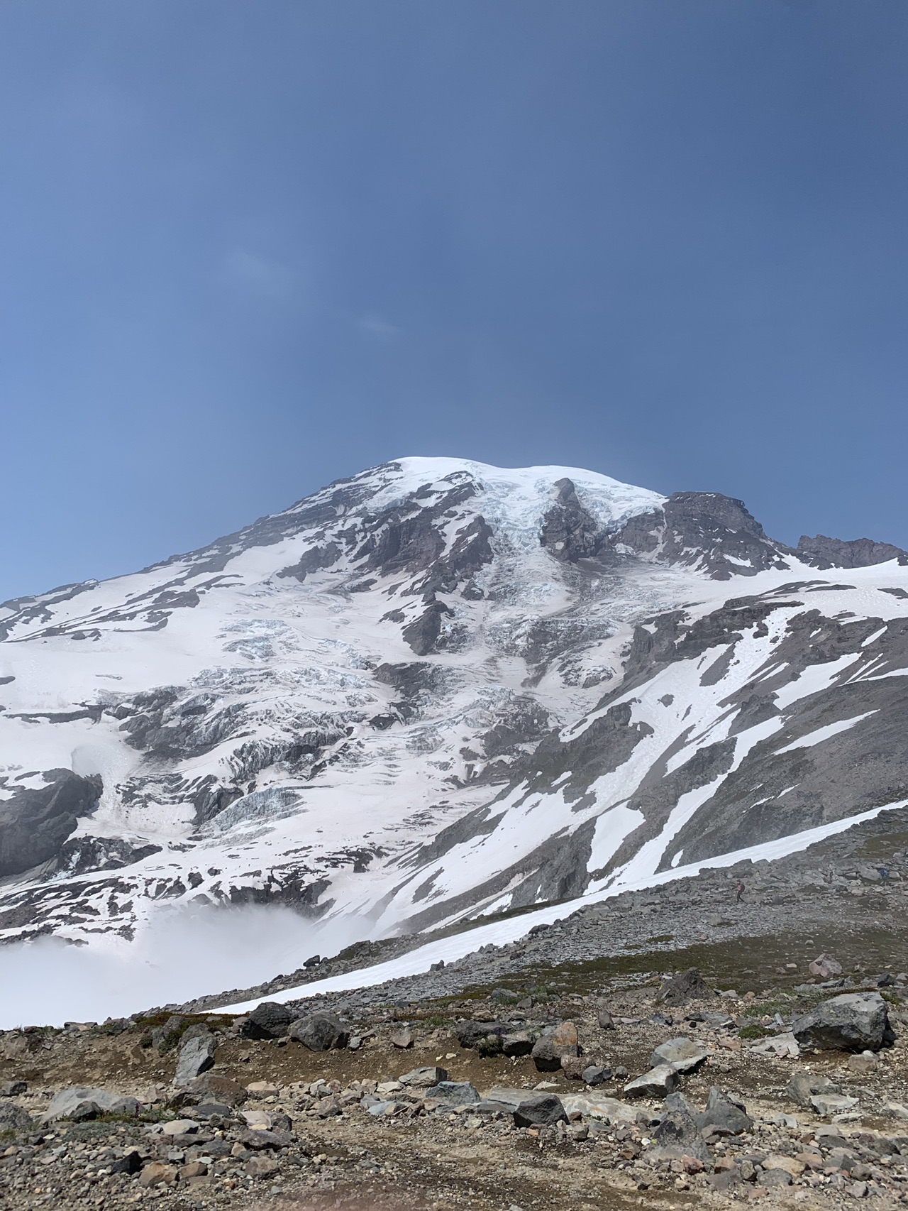 マウントレーニア国立公園 19 07 05 Seiさんのマウントレーニア国立公園の活動データ Yamap ヤマップ