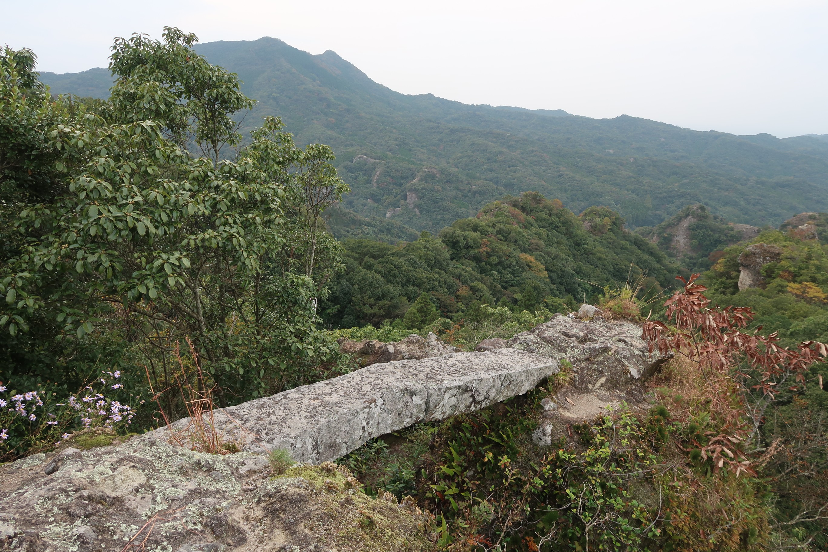 巡礼の道を歩く 国東半島峯道ロングトレイル Tokuさんの六郷満山 国東半島 の活動日記 Yamap ヤマップ