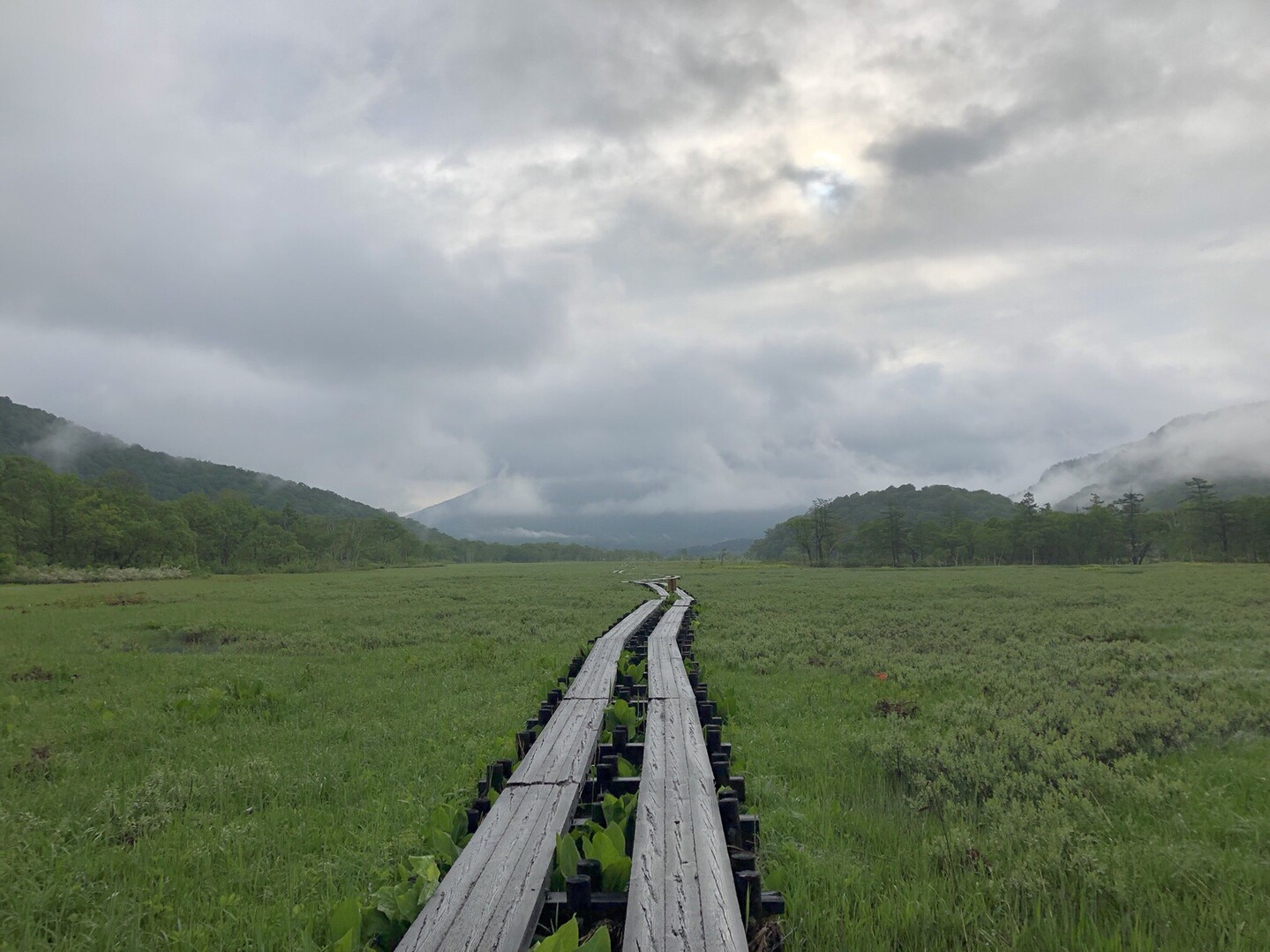 尾瀬 日帰りで鳩待峠から三条の滝 尾瀬 燧ヶ岳の写真7枚目 雨の予報でしたが まずまずの天気 Yamap ヤマップ