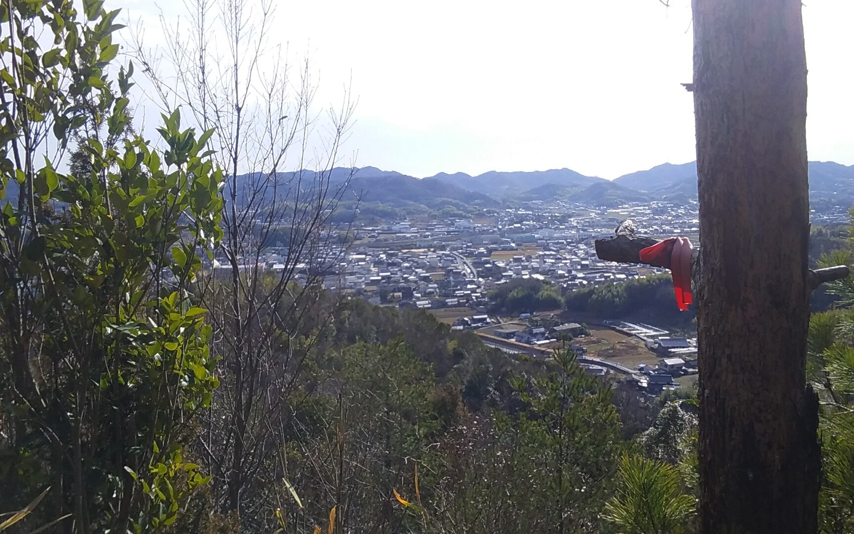 遙照山 鬼の手形岩 01 26 潤さんの遙照山の活動日記 Yamap ヤマップ