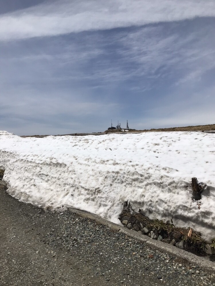 Gwの旅 美ヶ原ハイキング アラキンさんの美ヶ原の活動日記 Yamap ヤマップ