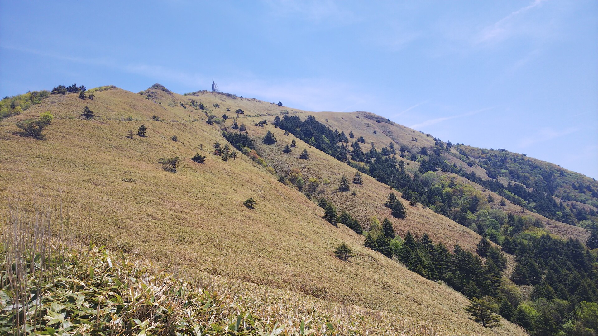 せとうちバス 石鎚山ロープウェイ前バス停