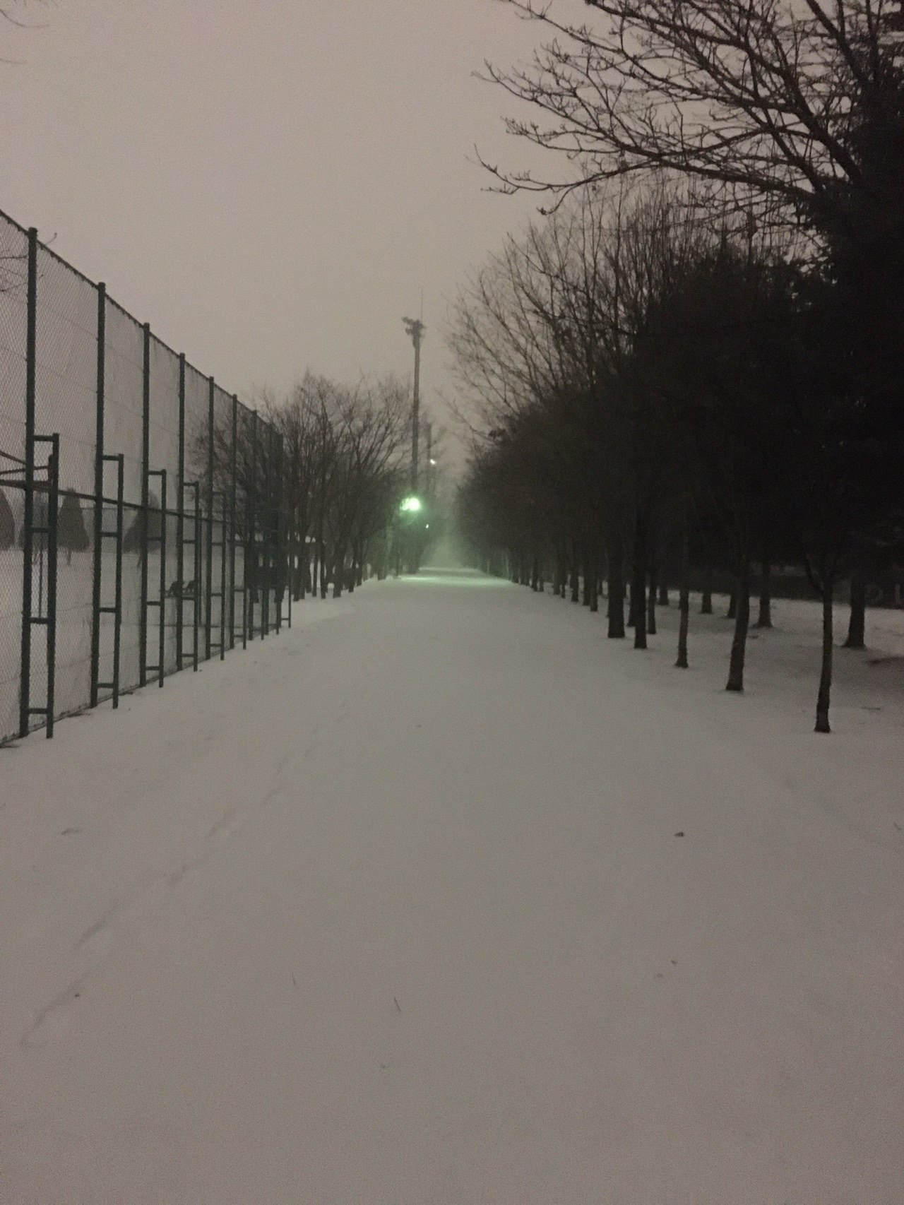 函館昭和公園 19 12 04 ていさんの函館山の活動データ Yamap ヤマップ