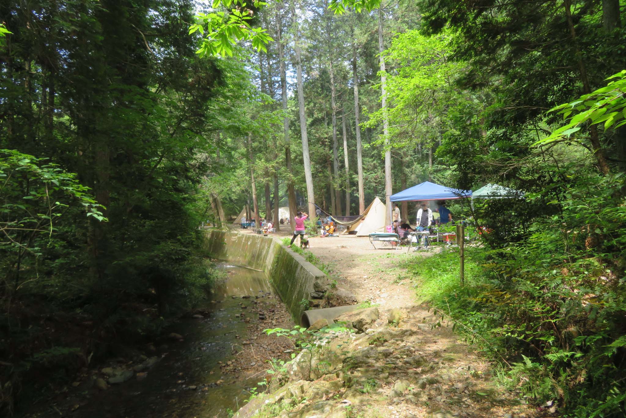 八曾山 岩見山 Mt Hasso 犬山 Inuyama Ss5さんの八曽山の活動日記 Yamap ヤマップ