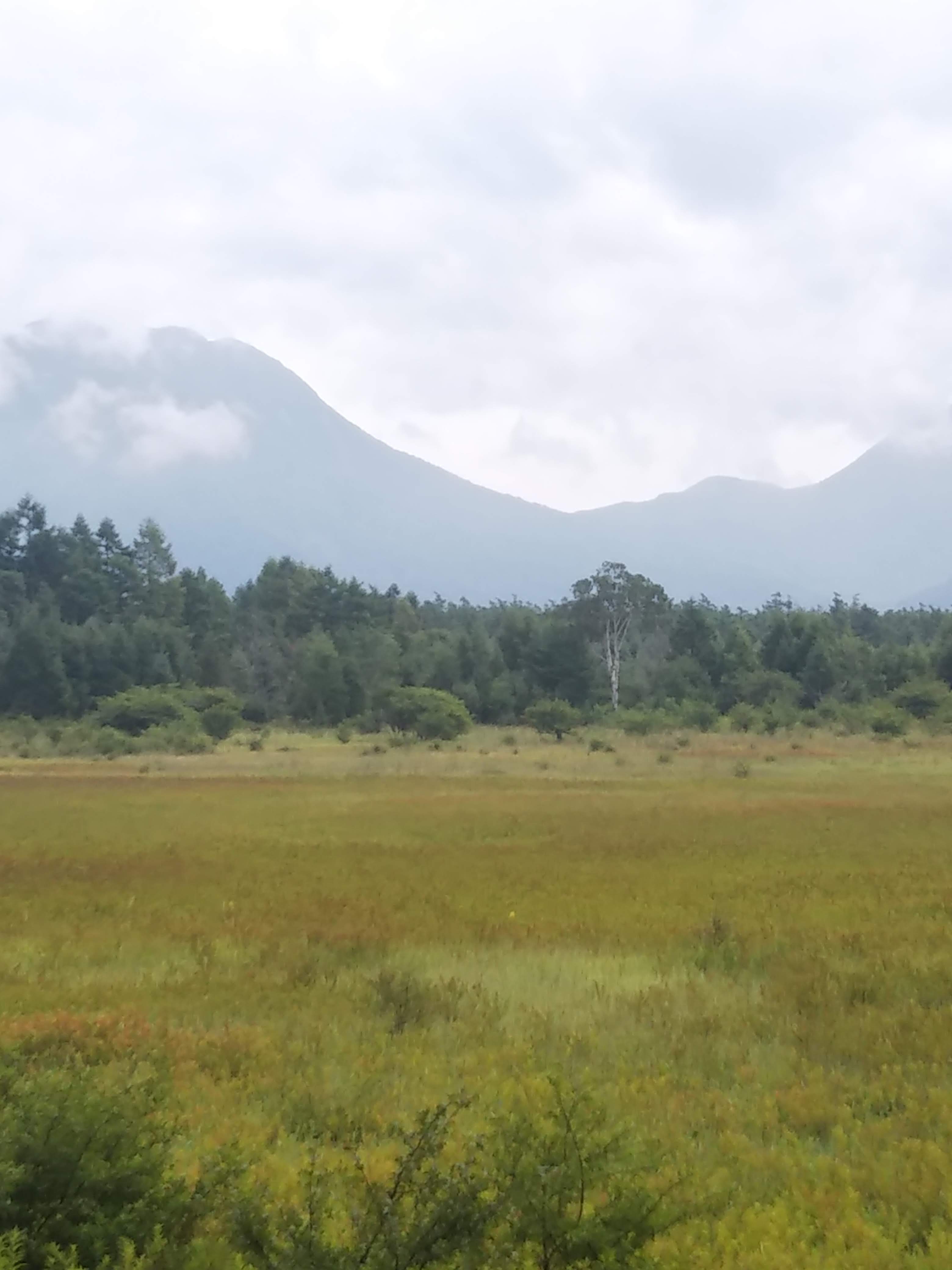 湯ノ湖 中禅寺湖ボートハウス Linさんの日光白根山 五色山 錫ヶ岳の活動データ Yamap ヤマップ