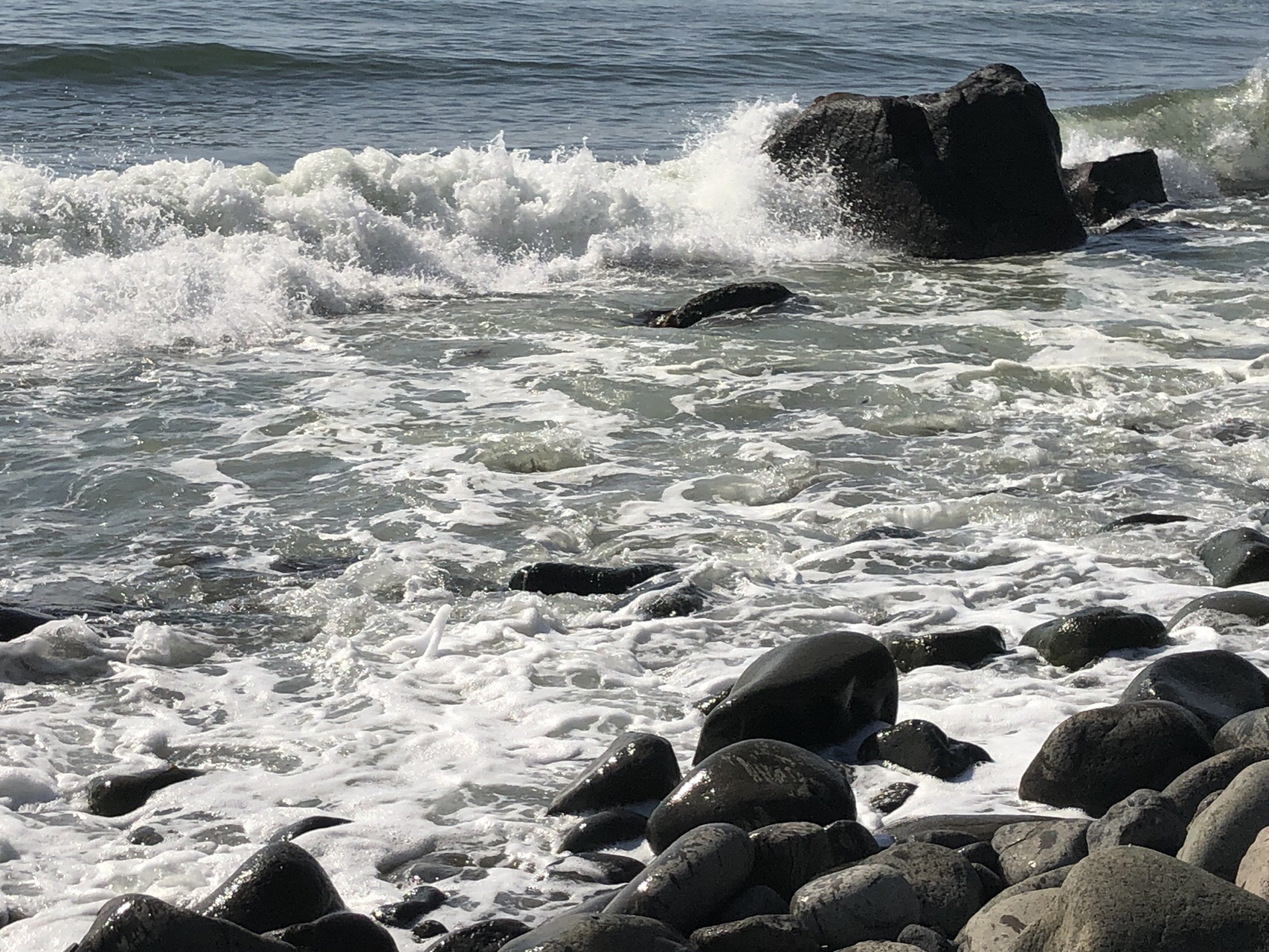 濃昼岳と厚田を満喫 Kazhiroさんの濃昼山道の活動日記 Yamap ヤマップ