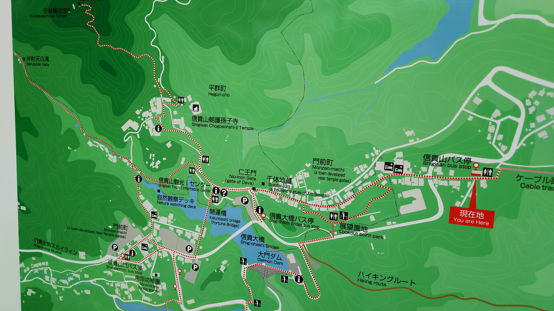 信貴山 虎まつり 紫閃 Peeママから紫閃 しせん に変更します さんの生駒山 神津嶽 大原山の活動日記 Yamap ヤマップ