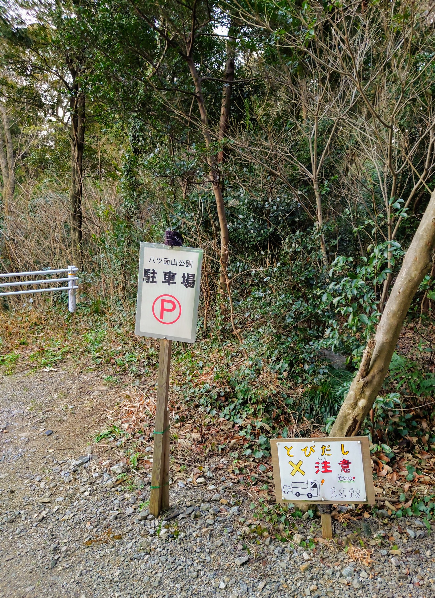 八ッ面山 やつおもてやま 家から一番近い山 ぁぃ さんの茶臼山 西尾市 万灯山の活動日記 Yamap ヤマップ