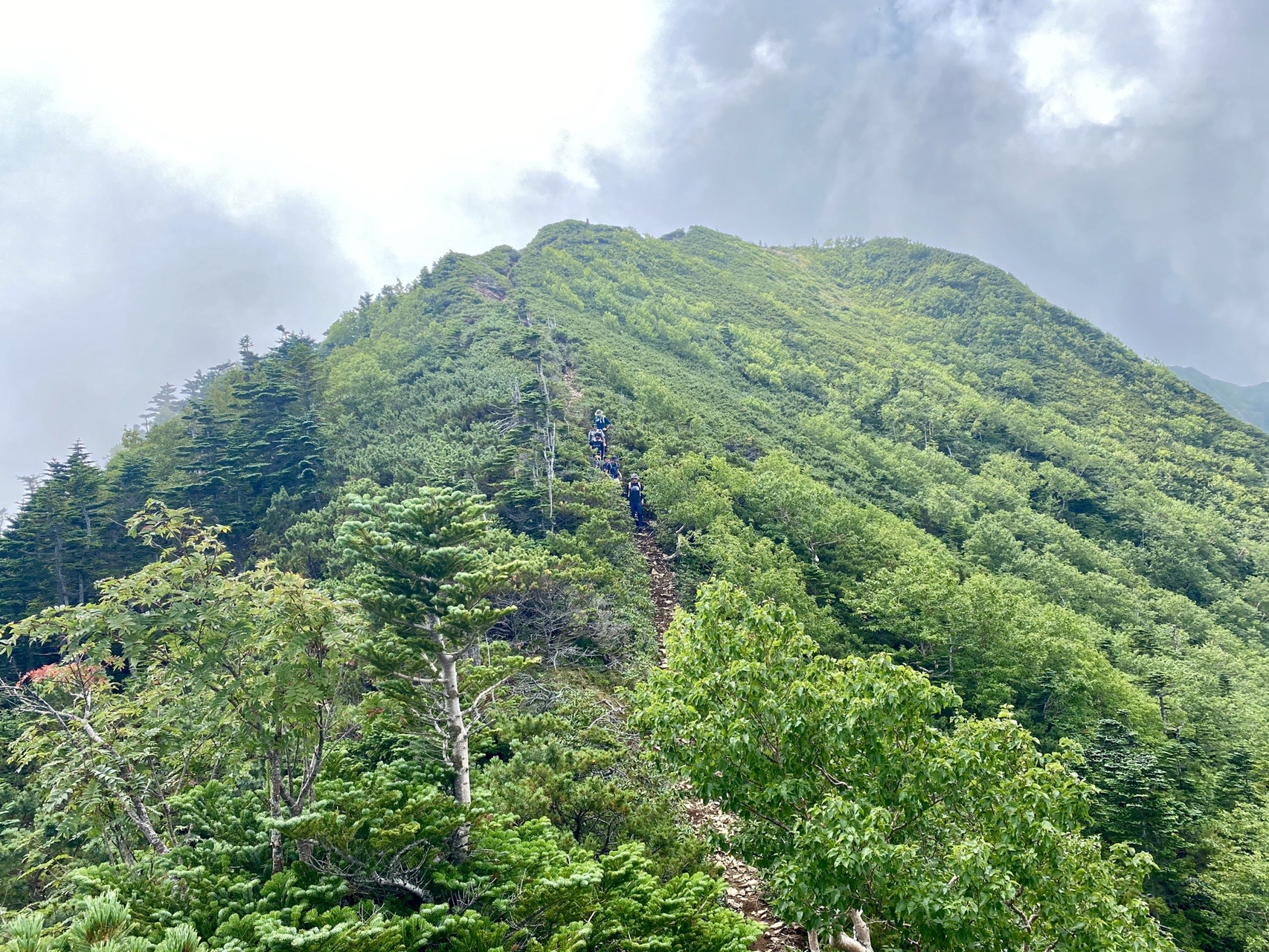 女峰山 のんびり北関東山歩き Sa10さんの女峰山 赤薙山 大真名子山の活動データ Yamap ヤマップ