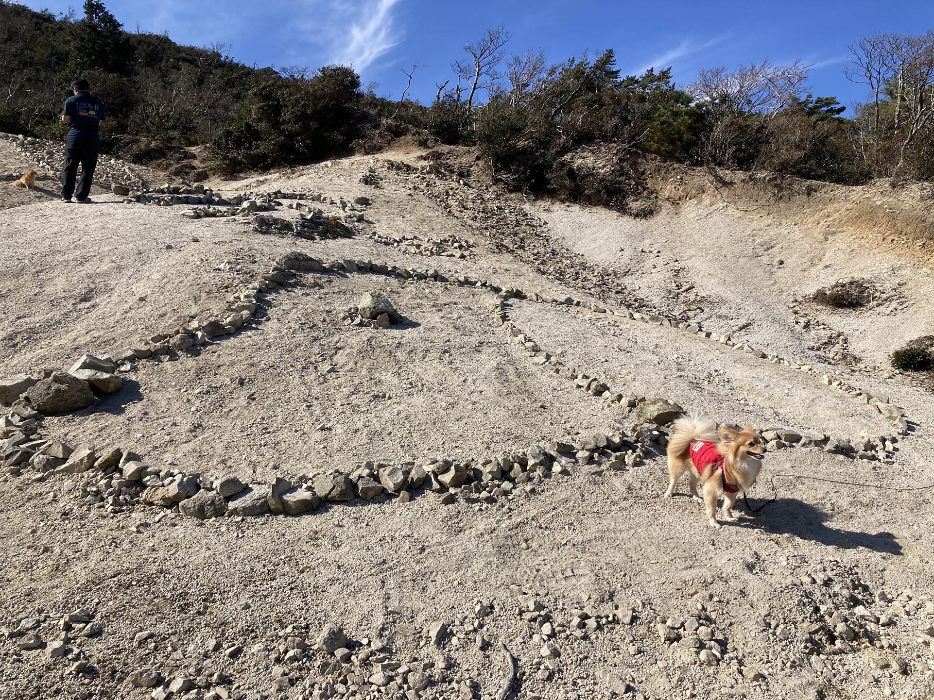釈迦ヶ岳 きなこちゃん