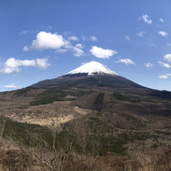 ビートルマニア