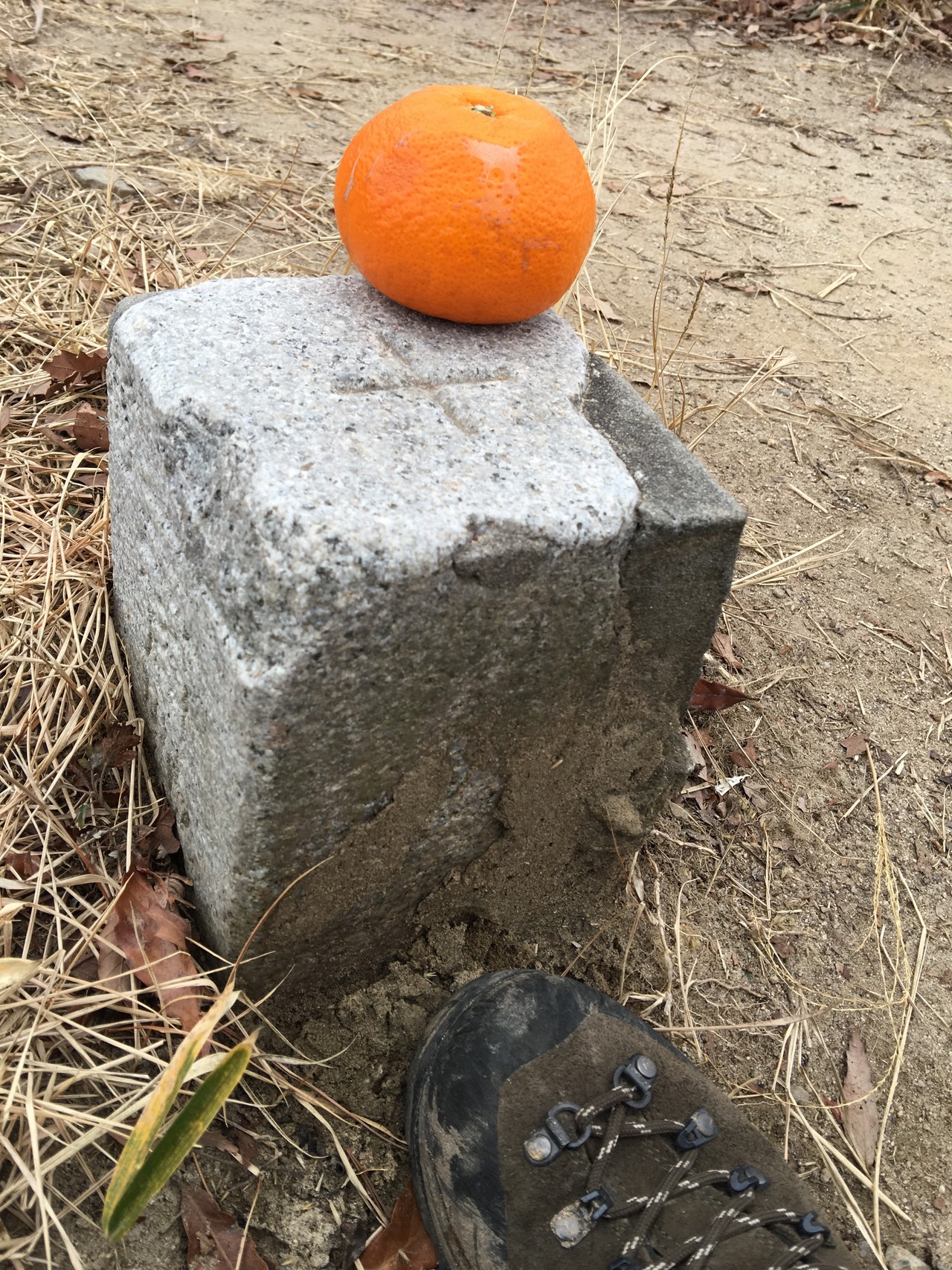 なぜか 渡哲也祭り 友情出演 長州力 橋本マナミ 舘ひろし 木の実ナナ 佐藤b作 チャックウィルソン 渡瀬恒彦 ミヤキンマンさんの広島南アルプス 武田山 三滝山 鈴ヶ峰 の活動日記 Yamap ヤマップ