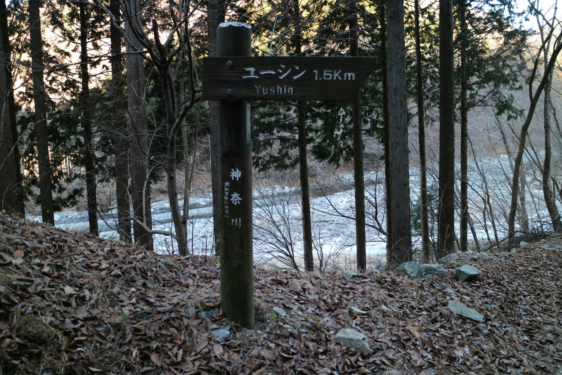 冬のユーシン渓谷 ななさんの丹沢山の活動データ Yamap ヤマップ