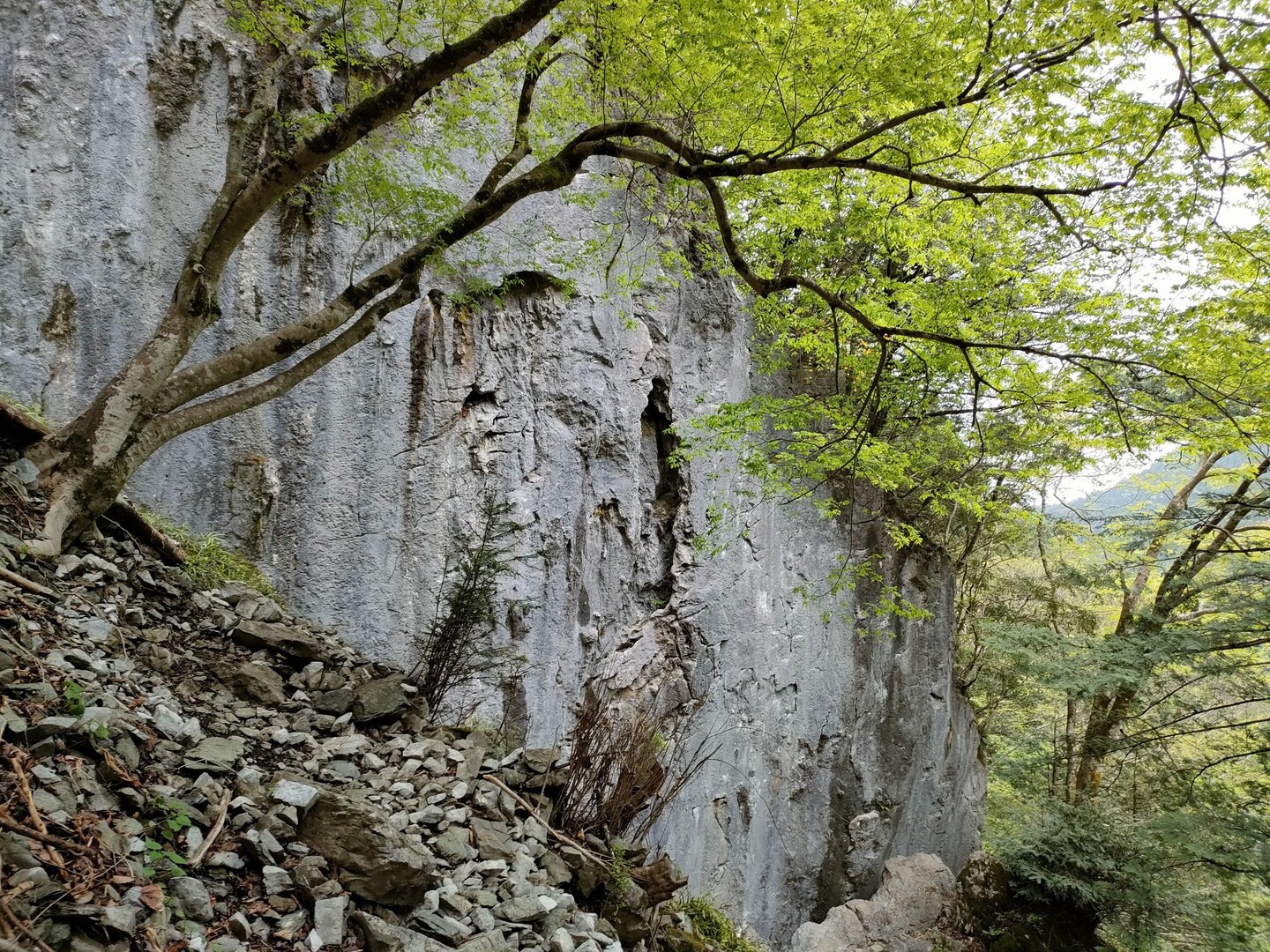 奥多摩 御前岩 久しぶりにスポーツクラ... / ちょまさんのモーメント YAMAP / ヤマップ