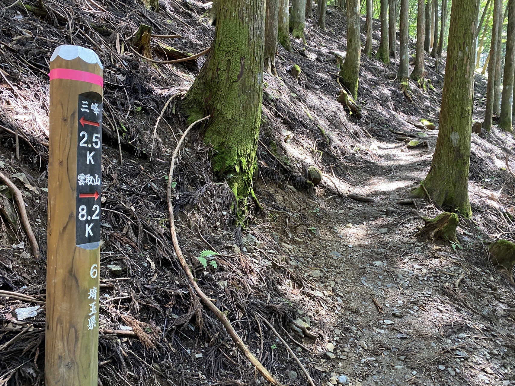 秩父、登拝、ひとり旅。（妙法ヶ岳・霧藻ヶ峰） / マオさんの雲取山 