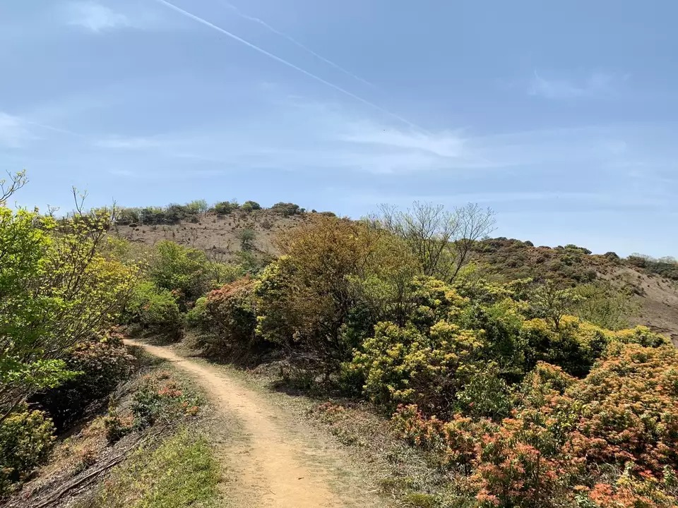 小倉山 岐阜県大垣市 岐阜 の登山 山頂 天気 人気のルート 最新の記録 Yamap ヤマップ