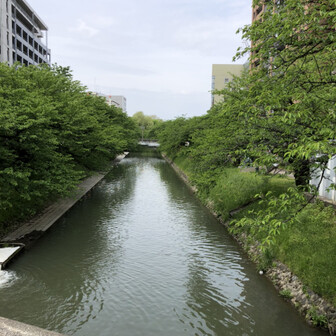 右肩にカナブン