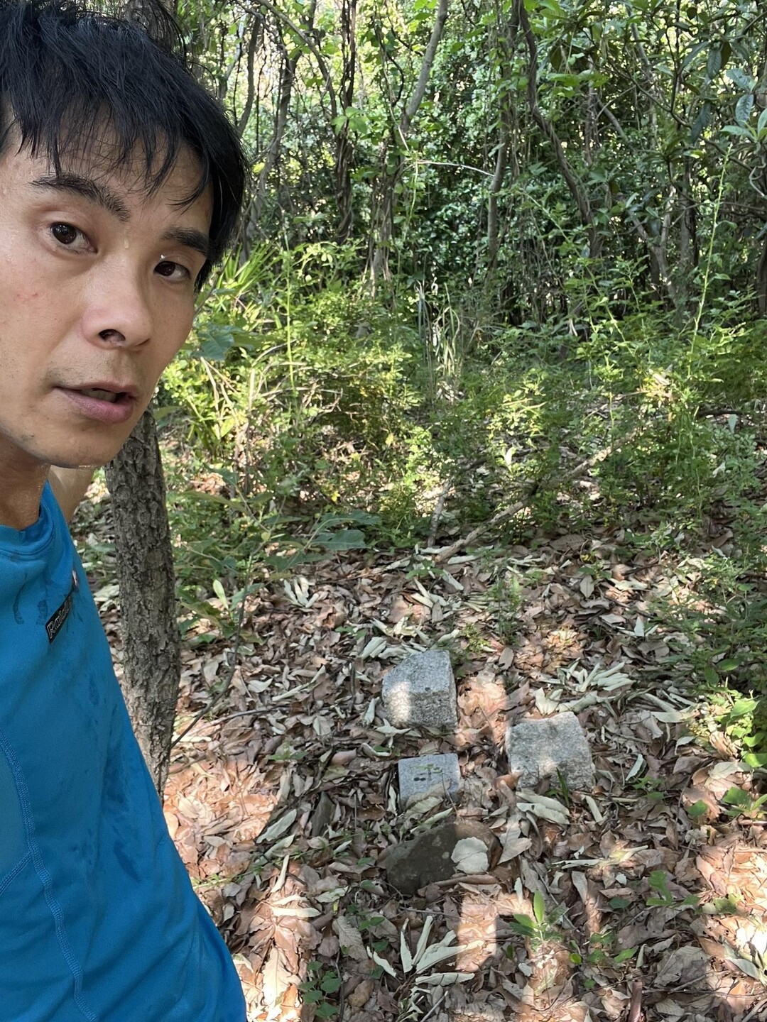 鶴ヶ峰・磨臼山 / 秦大輔さんの四国遍路その19の活動日記 | YAMAP / ヤマップ