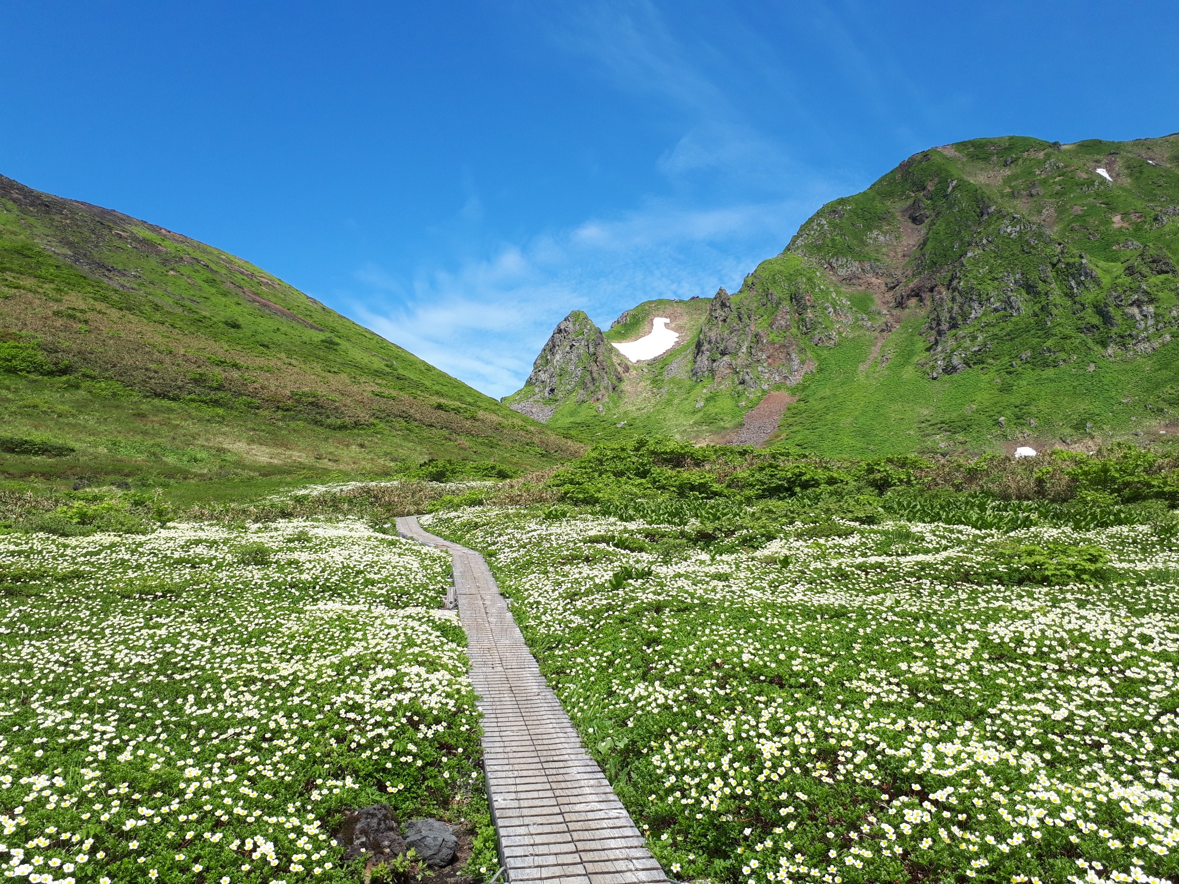 秋田駒ヶ岳 八号目からムーミン谷 あっちゃんさんの秋田駒ヶ岳 男女岳 貝吹岳の活動データ Yamap ヤマップ