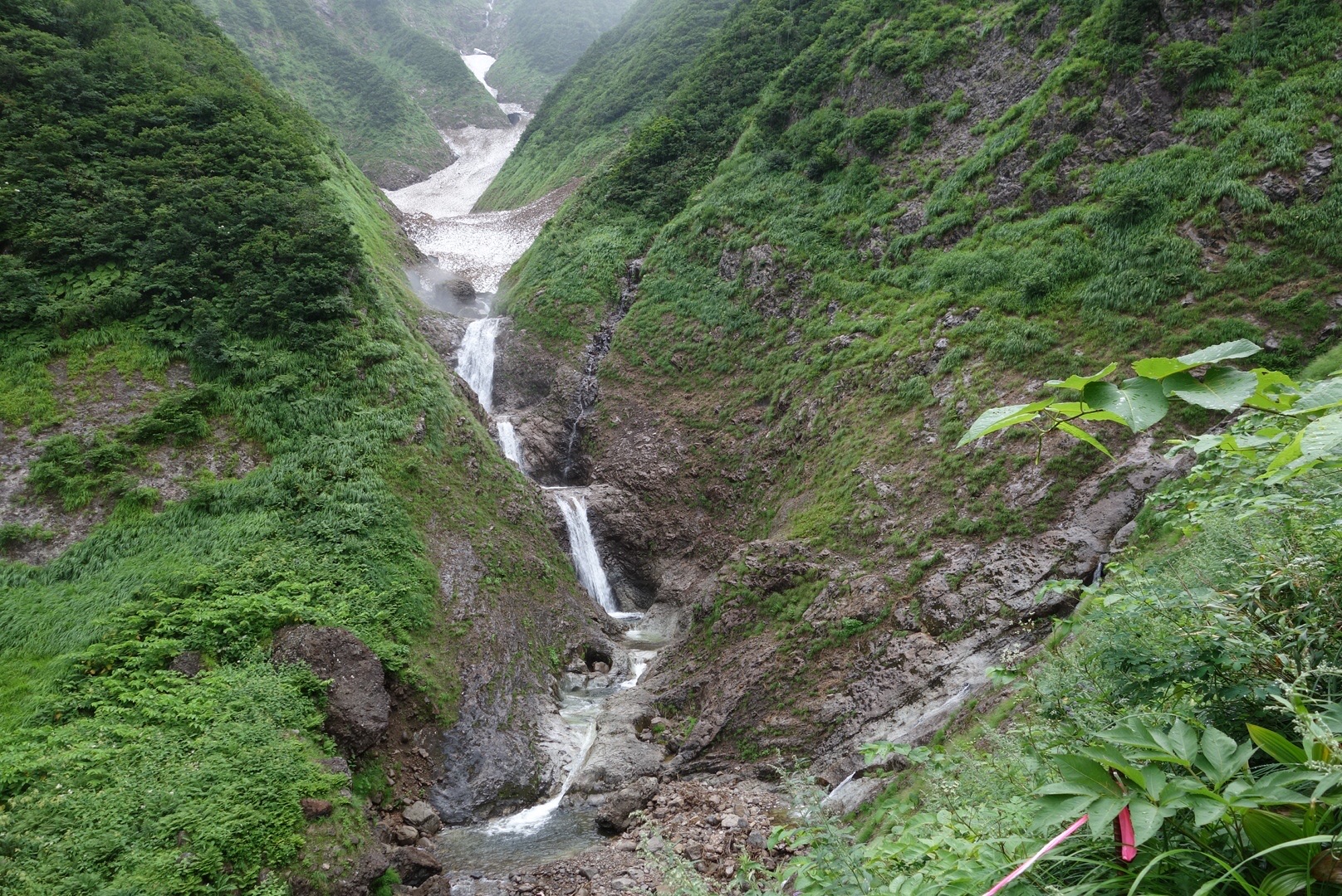 荒沢岳 万年雪 07 26 とまとさんの越後駒ヶ岳 八海山 荒沢岳の活動データ Yamap ヤマップ